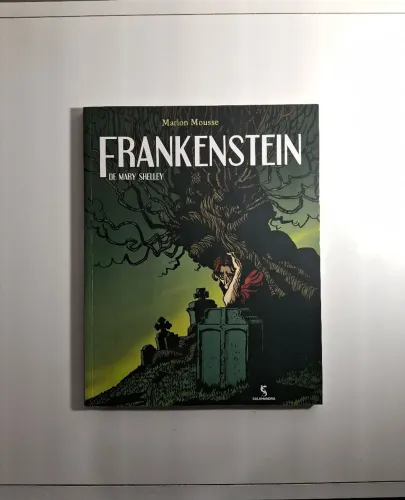 Livro Frankenstein de Mary Shelley
