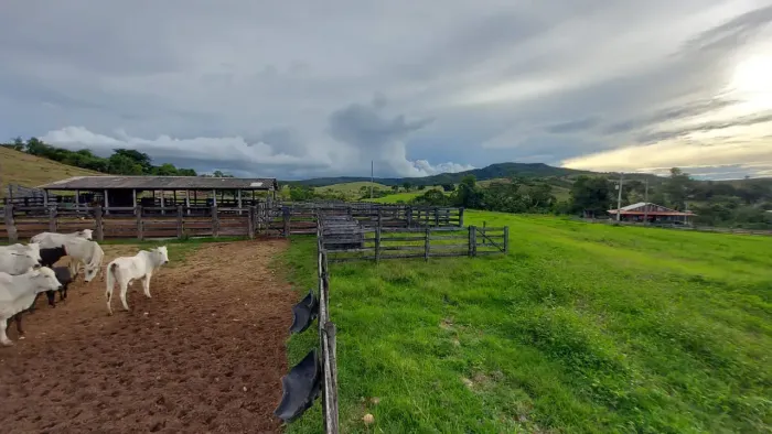 CÓD. 495 VENDE-SE OU PERMUTA UMA FAZENDA EM NOVA BRASILÂNDIA MT