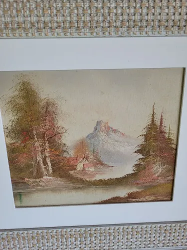 Vendo tela pintada a mão
