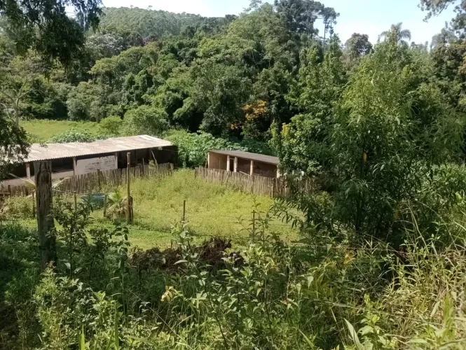 Terreno de boa topografia próximo a Juquitiba