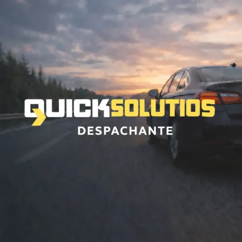 Despachante Quick soluções 