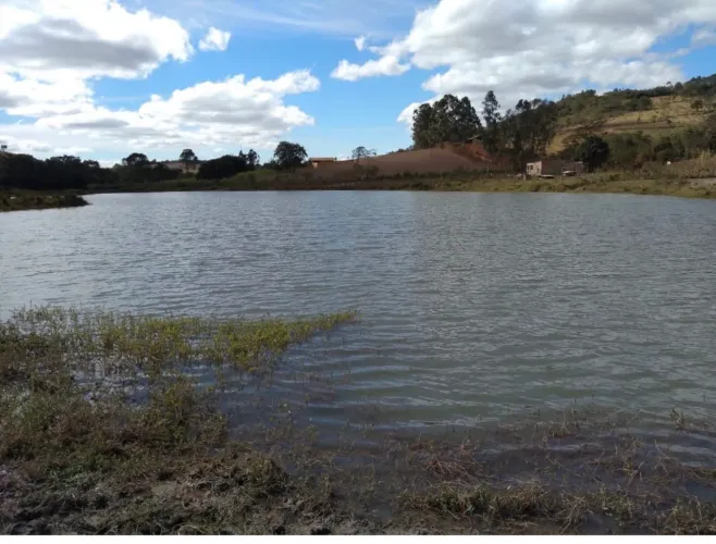 Vendo sitio ou troco em piedade dos gerais