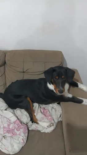 Doação 