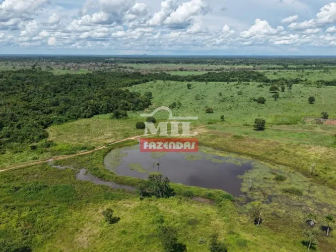 Fazenda 122 Alqueires (590 Hectares) Araguaçu - TO