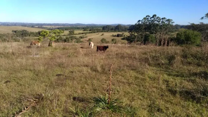 SITIO NA QUINTA DA ESTÂNCIA COM BENFEITORIAS