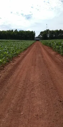 Fazenda 3.750 hect no xingu MT. Plantação 1.950hect  R$: 1.8 milhões saca soja 234 milhões