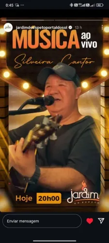 Cantor voz e violão 