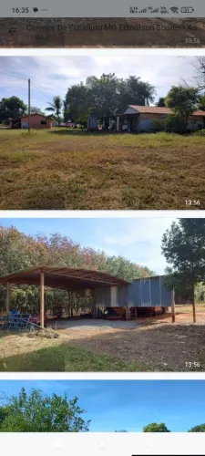 Fazenda de Seringueira a vê da SP. 320 alq. Com 280 mil pés R$: 85 milhoes