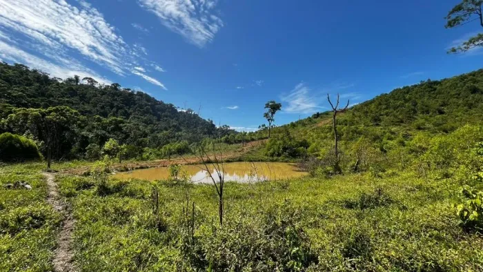 Chácara à venda, 145200 m² por R$ 640.000,00 - Paiol de Baixo - Campina Grande do Sul/PR