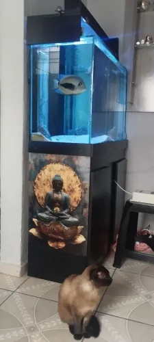 Aquário 100x40x60 (240l) + sump (135) litros 