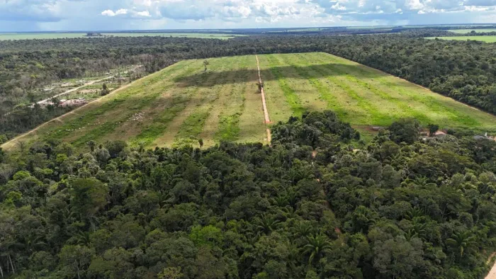 Fazenda 130 hec em Vera MT. Com 60hec formados 6 milhões.