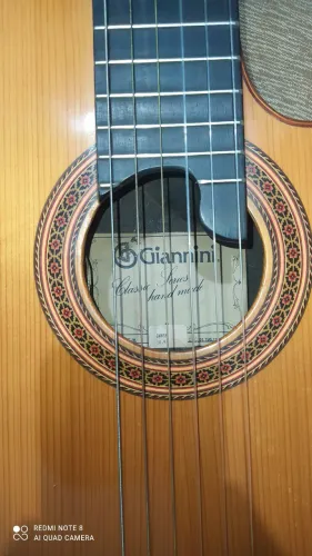 Giannini GWNSB (SOLID-BODY) Vendo/Troco.