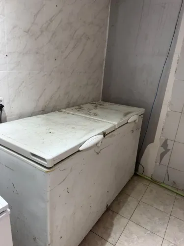 Freezer horizontal