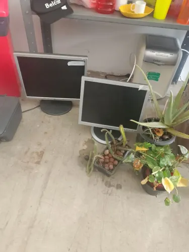 Monitor 