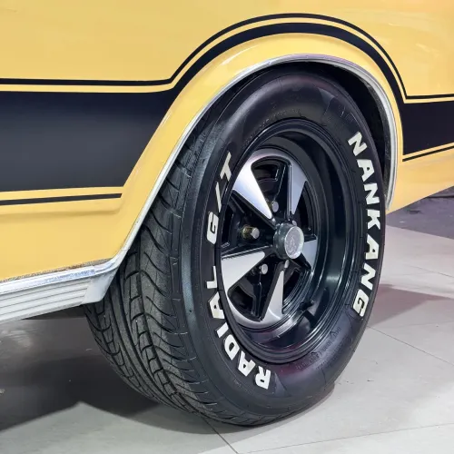 Chevrolet Caravan L/sl/s/ss 2.5/4.1/4.2 1979