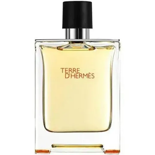 Terre d Hermes EDT 100mL Tester
