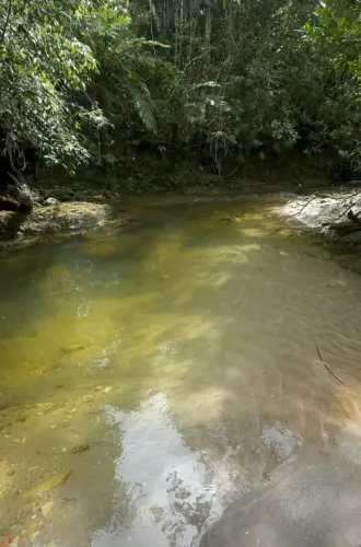 Vendo chácara em Pirenópolis