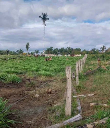 Terra de 6 alqueiros sem defeito 