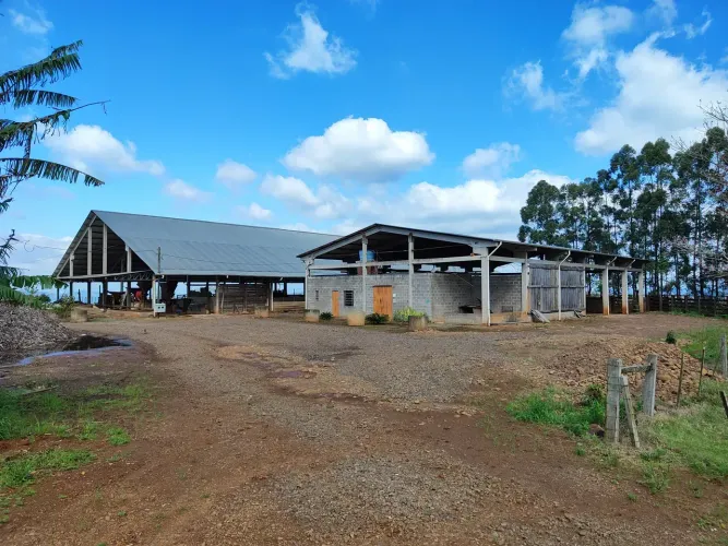 Galpão/Depósito/Armazém para aluguel com 2460 metros quadrados