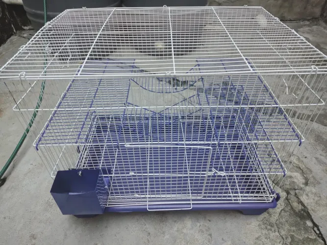 Gaiola para rato Twister