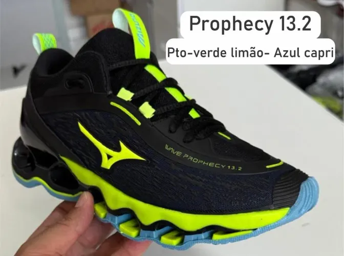 Mizuno prophecy 13.2
