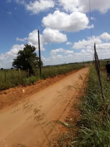 Vendo chácara com 77 tarefas em Arapiraca - AL