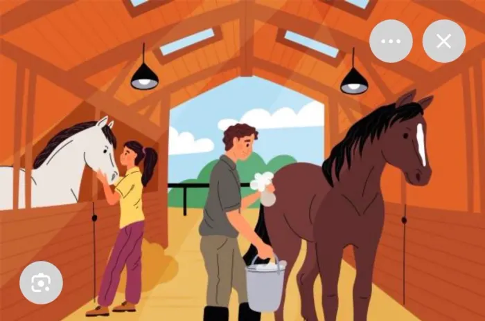 OPORTUNIDADE, LEIA por favor! Tratador de CAVALOS, SOLTEIRO para MORAR!