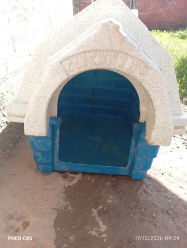 Casinha de cachorro tamanho média