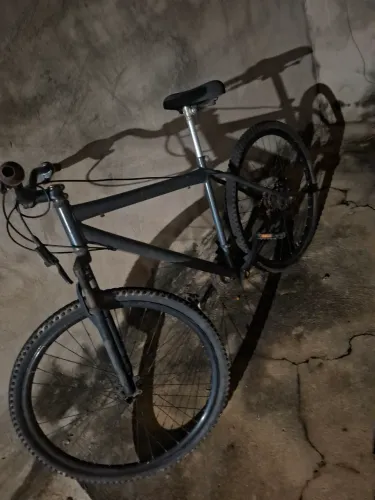 Boleto aro 29