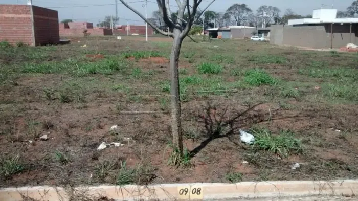 Lote em Porto Ferreira - SP