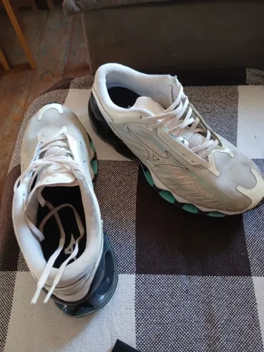 Tenis