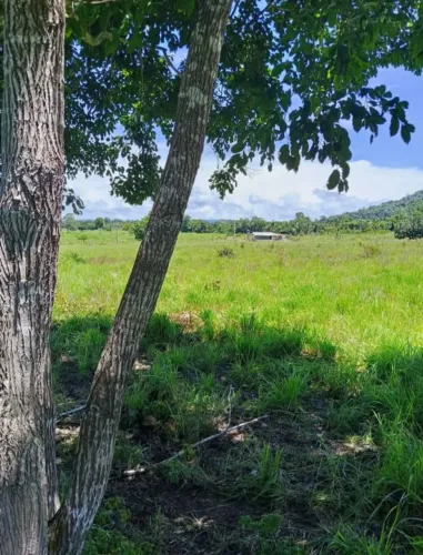 Chácara próximo ao asfalto do S11D