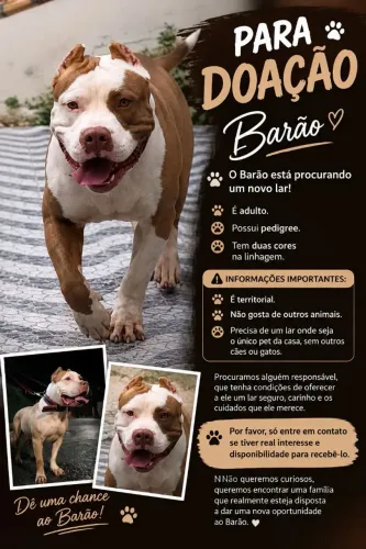 Doação 