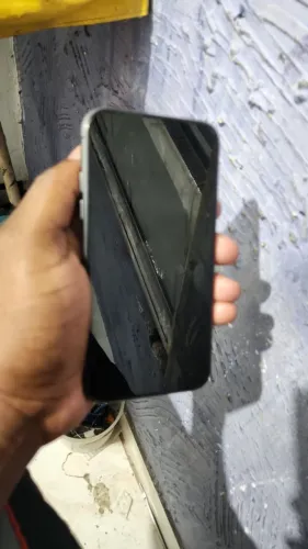 11 normal zero