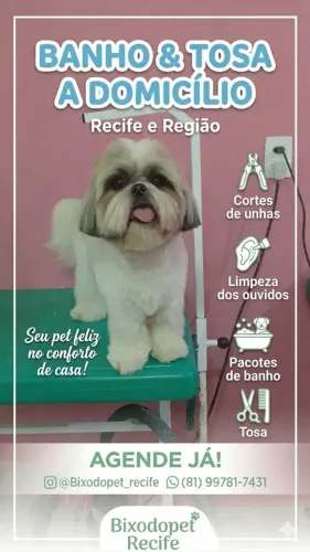 Banho e tosa 
