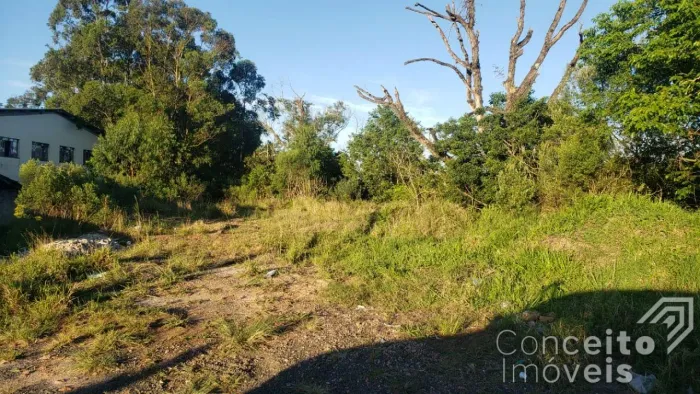 Terreno com com 1.875 m² - Chapada - Avenida Souza Naves