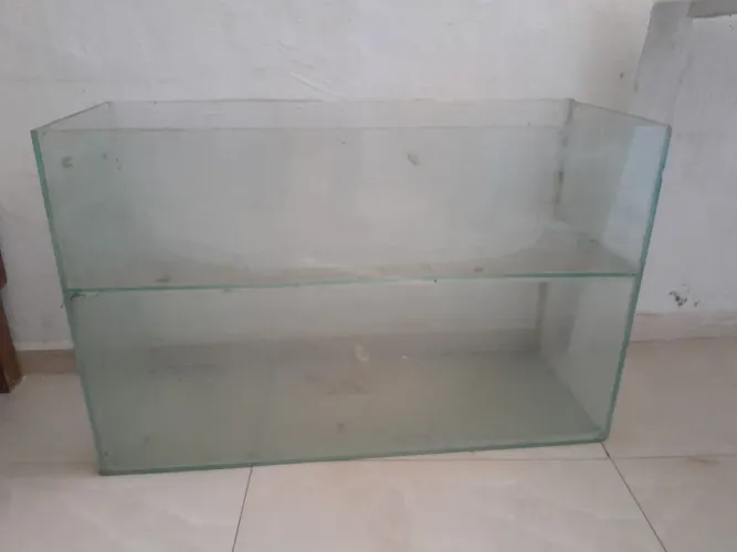 Aquário