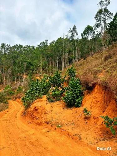 Sitio, Domingos Martins, energia elétrica, água, escritura, platôr, pego veículos, parcelo