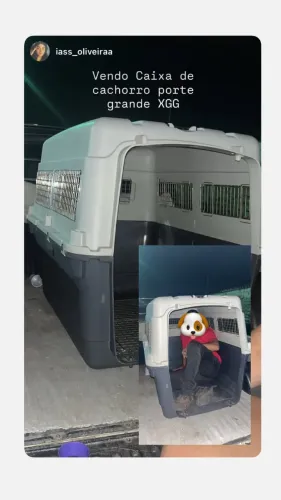 Casinha para cachorro porte grande