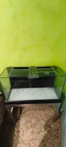 Aquário completo 