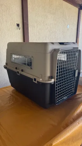 Caixa de cachorro para viagem no porão