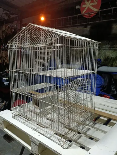 Gaiola para ramister ou porquinho da índia 