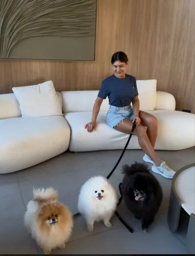 Luluzinho anão