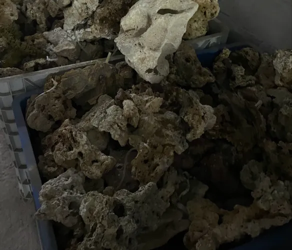 Rocha para aquários.