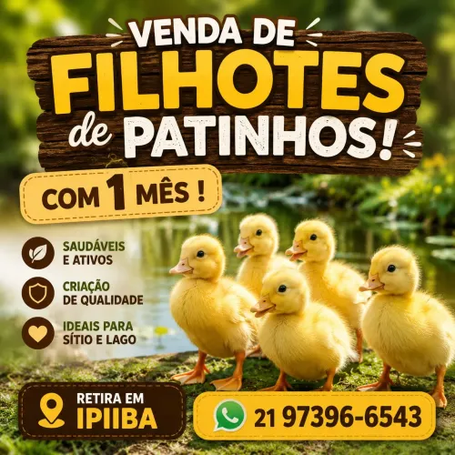 Animais