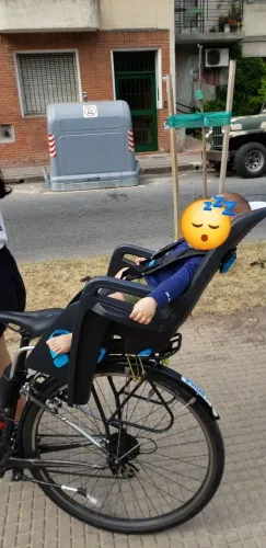 Cadeirinha de Bebe Thule Ridealong Cinza
