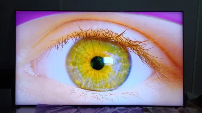 C3 oled 55 LG? Leia a descrição 