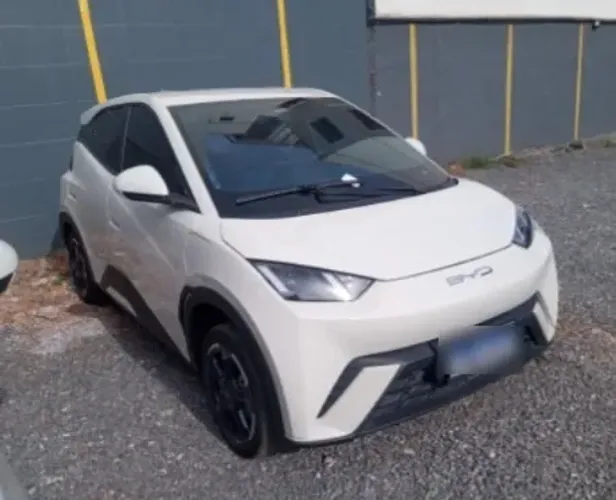 BYD Dolphin Mini (Elétrico) 2024