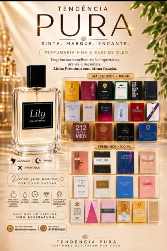 PERFUMES SIMILARES LINHA PREMIUM A BASE DE ÓLEO 