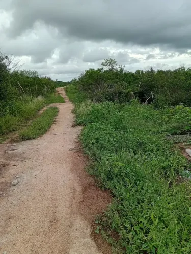Terreno para chácara em Bezerros,Pernambuco